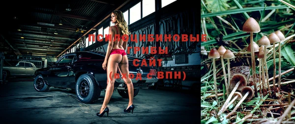 дживик Волосово